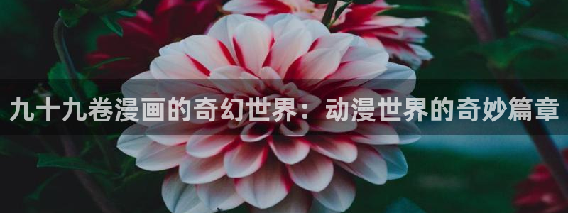 包子漫画免费漫画入口页面官网