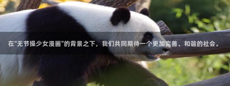 包子包子漫画