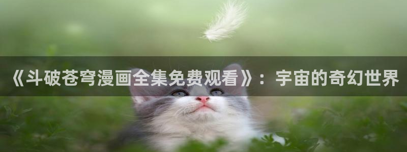 我是大神仙包子漫画