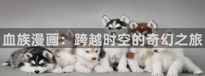 包子漫画官网入口下载
