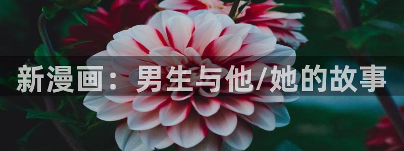 包子漫画免费漫画网页版入口